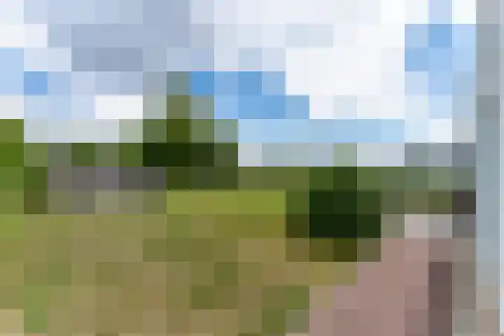 Zeedijk 24 417 Nieuwvliet thumbnail 7