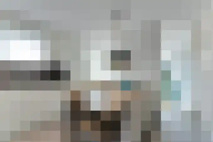 Zeedijk 24 417 Nieuwvliet thumbnail 9