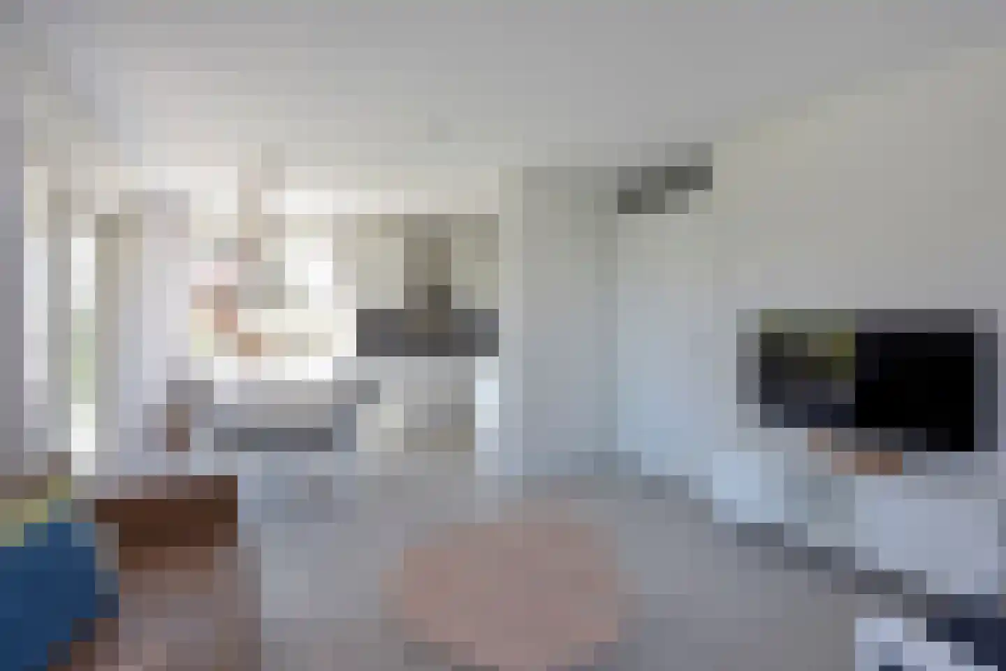 Zeedijk 24 438 Nieuwvliet thumbnail 12
