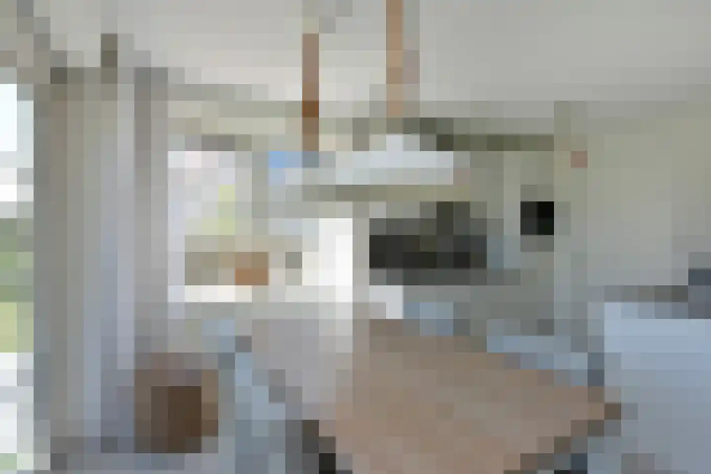 Zeedijk 24 438 Nieuwvliet thumbnail 15