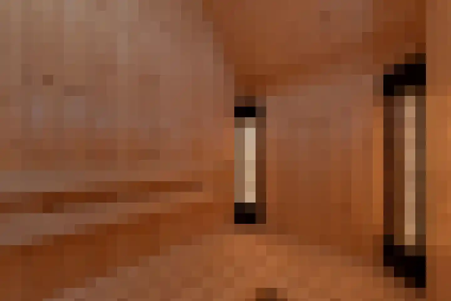 Zeedijk 24 438 Nieuwvliet thumbnail 20
