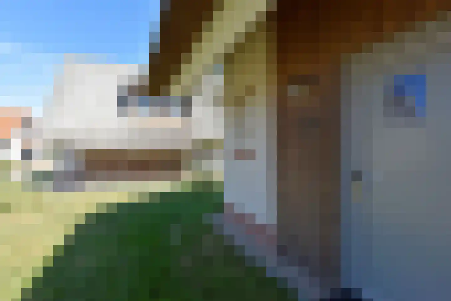 Zeedijk 24 438 Nieuwvliet thumbnail 25