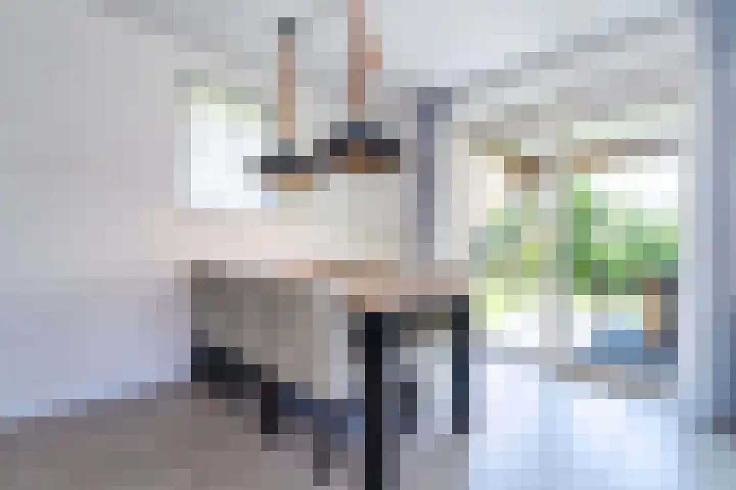 Zeedijk 24 457 Nieuwvliet thumbnail 11