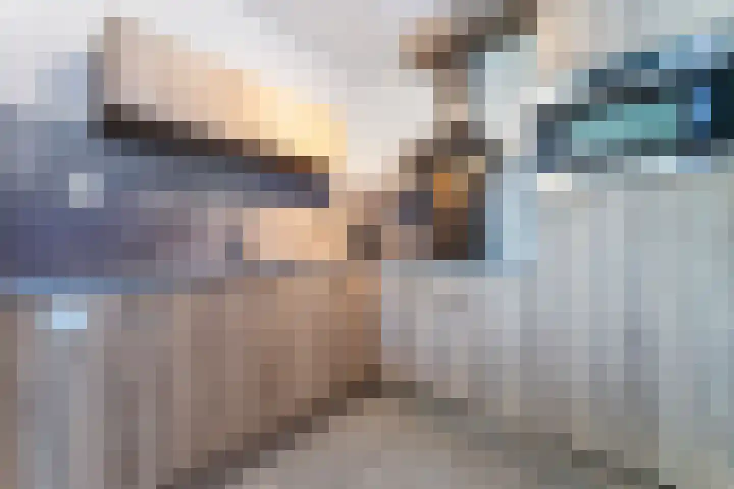 Zeedijk 24 457 Nieuwvliet thumbnail 13