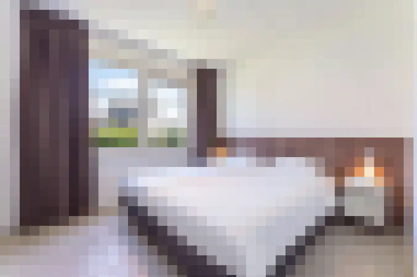 Zeedijk 24 457 Nieuwvliet thumbnail 14
