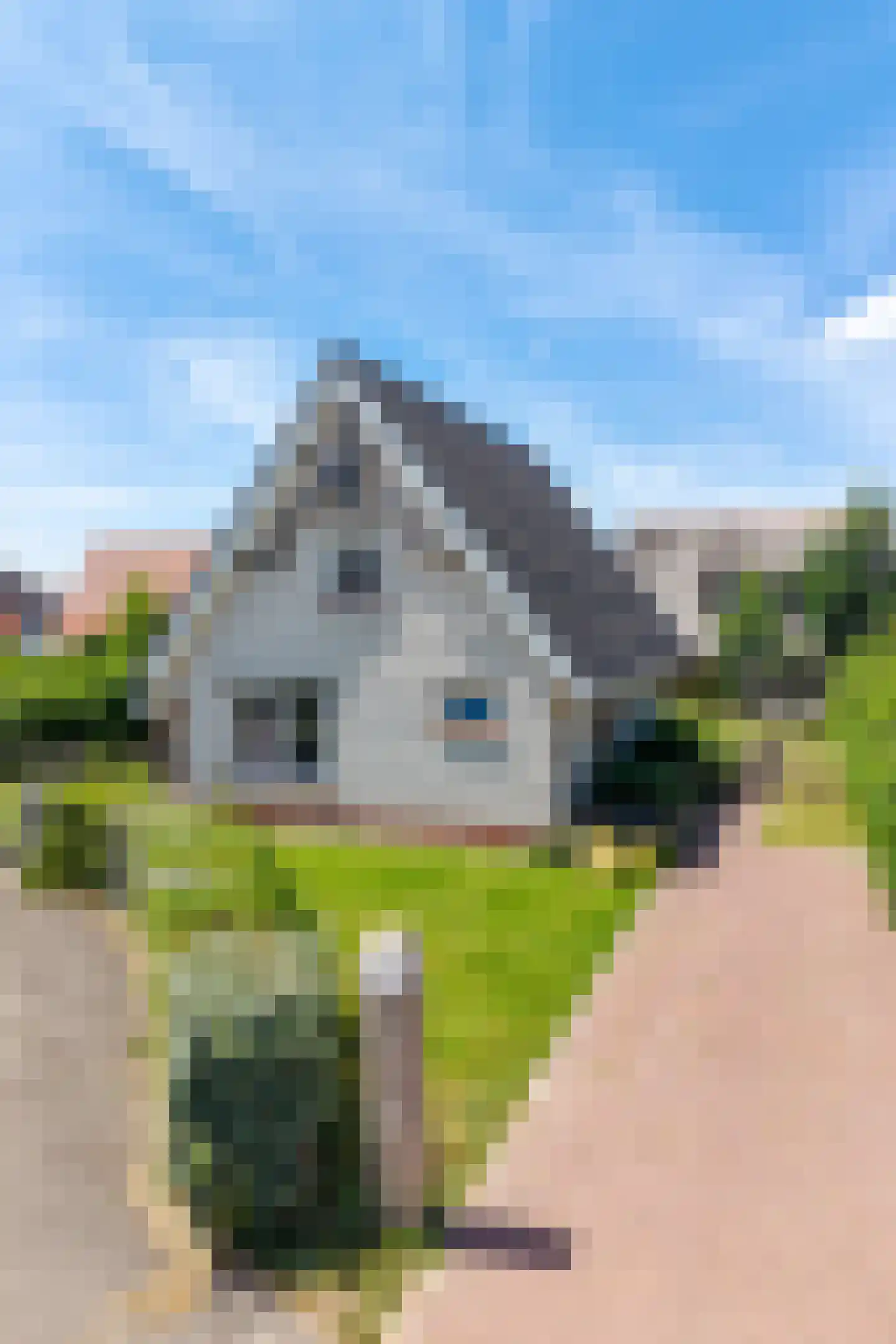 Zeedijk 24 457 Nieuwvliet thumbnail 24