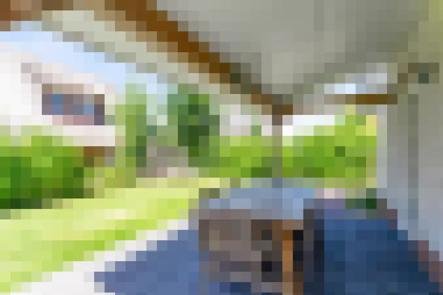 Zeedijk 24 457 Nieuwvliet thumbnail 25
