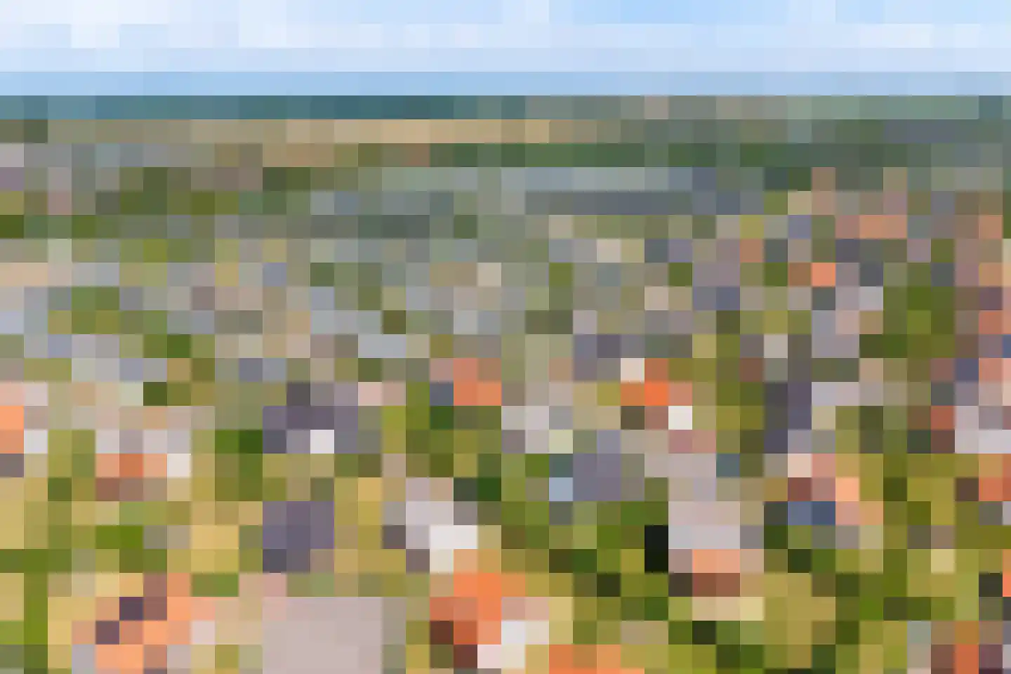 Zeedijk 24 457 Nieuwvliet thumbnail 26