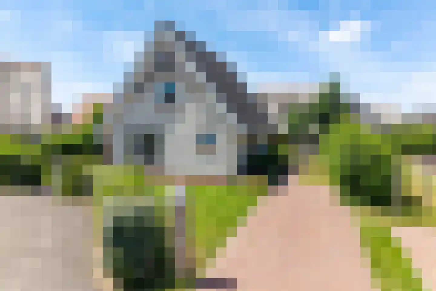 Zeedijk 24 457 Nieuwvliet thumbnail 5