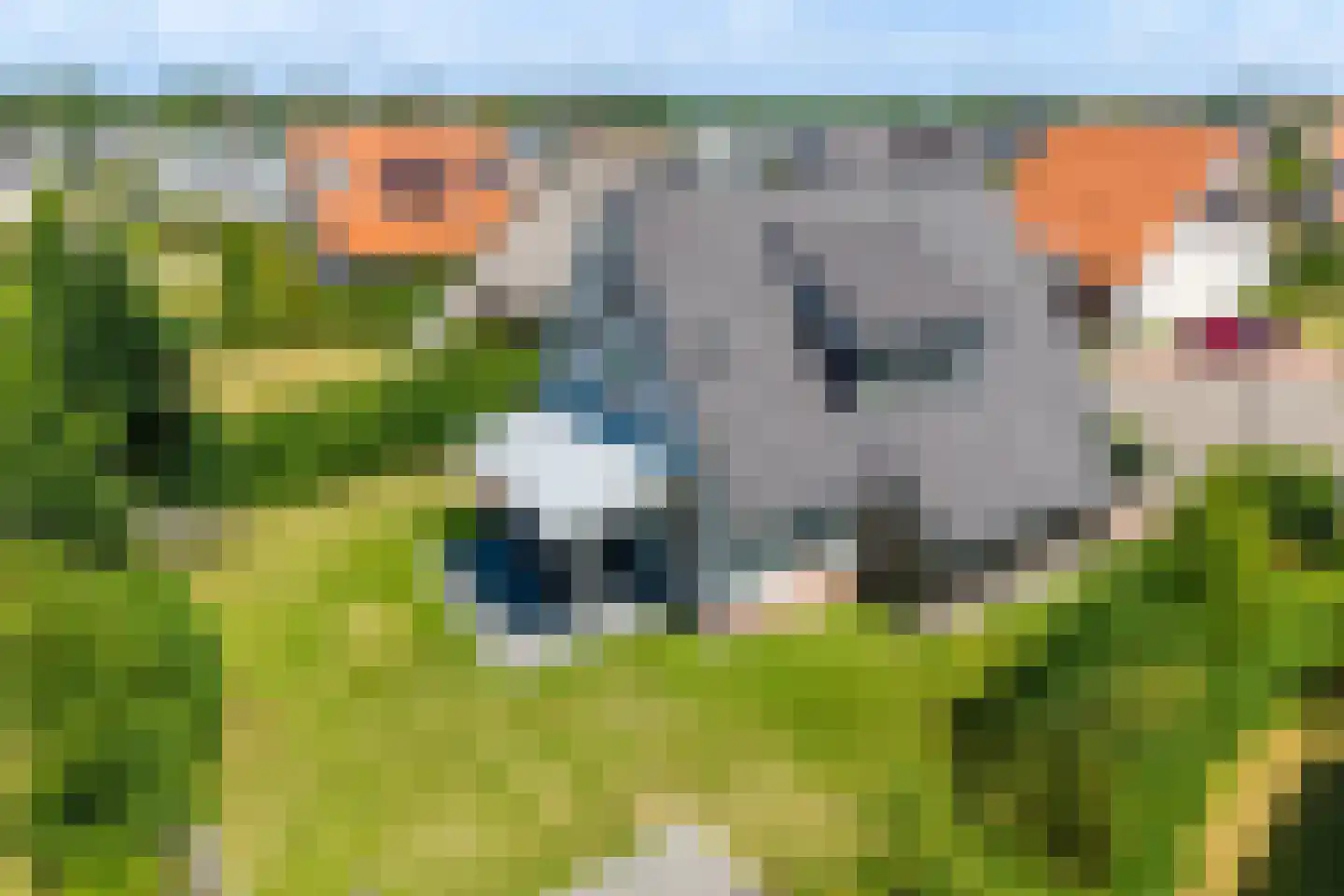 Zeedijk 24 457 Nieuwvliet thumbnail 8