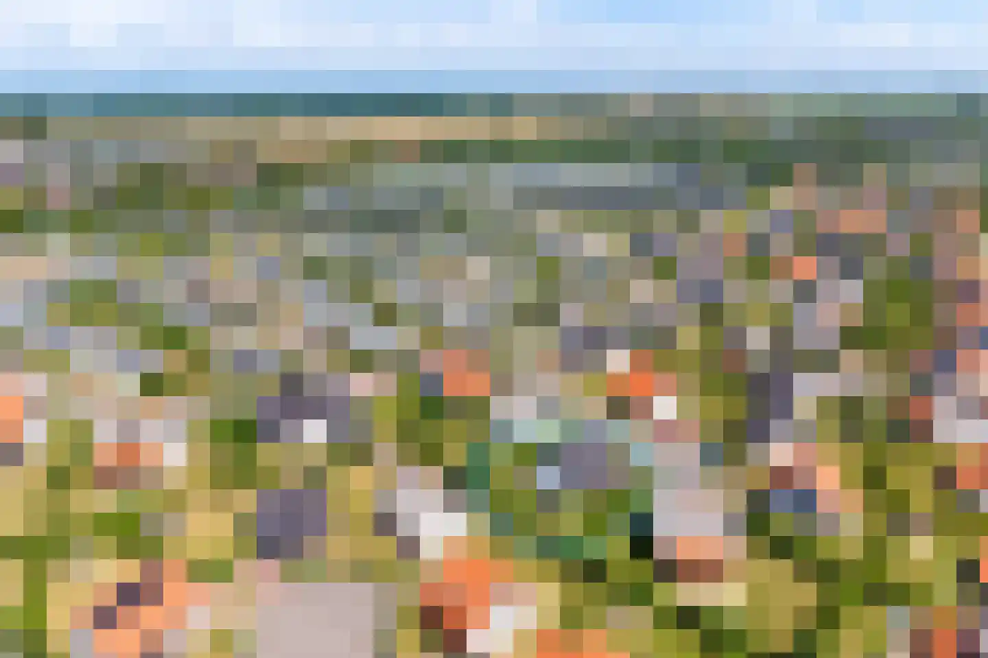 Zeedijk 24 457 Nieuwvliet thumbnail 9
