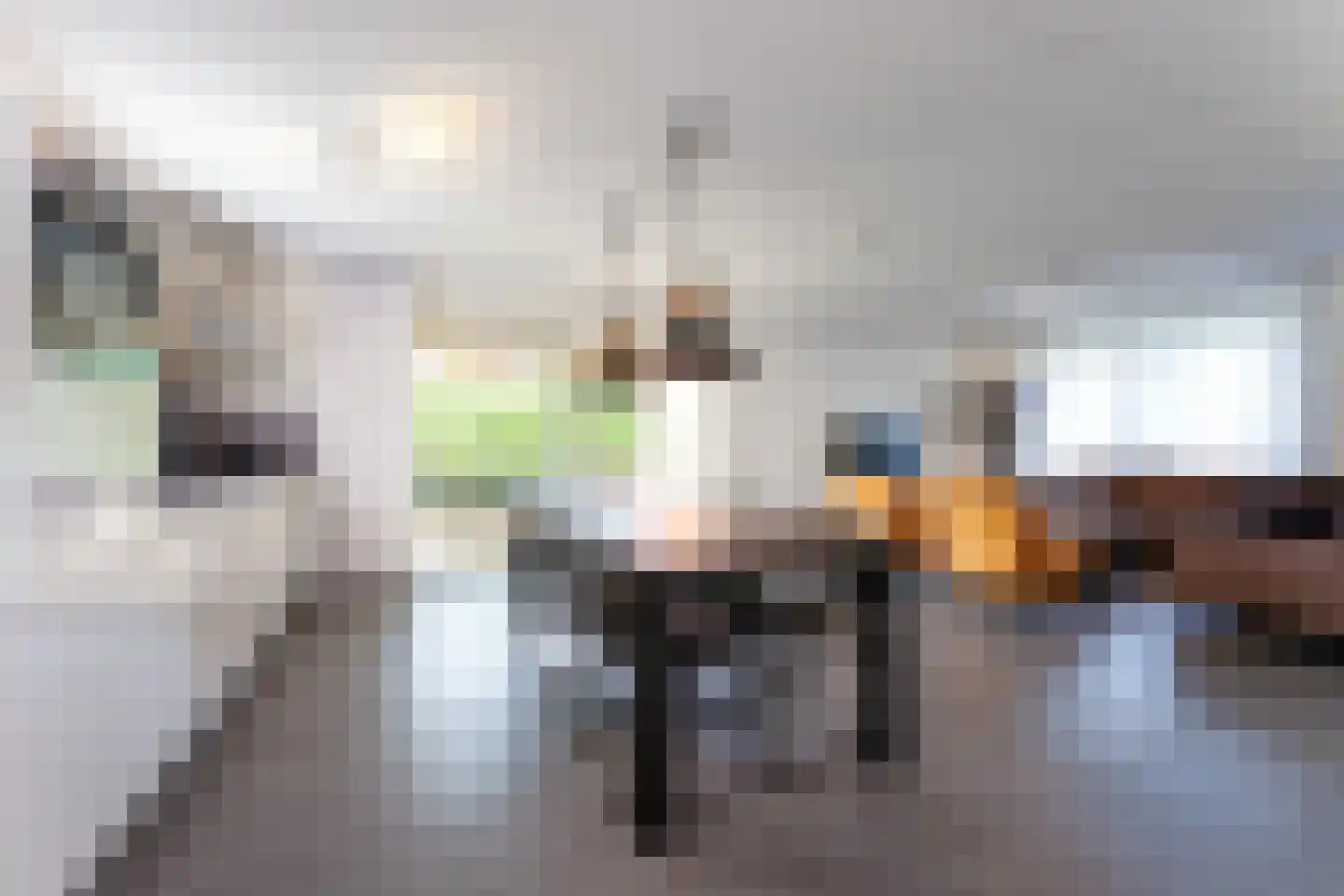 Zeedijk 24 458 Nieuwvliet thumbnail 12