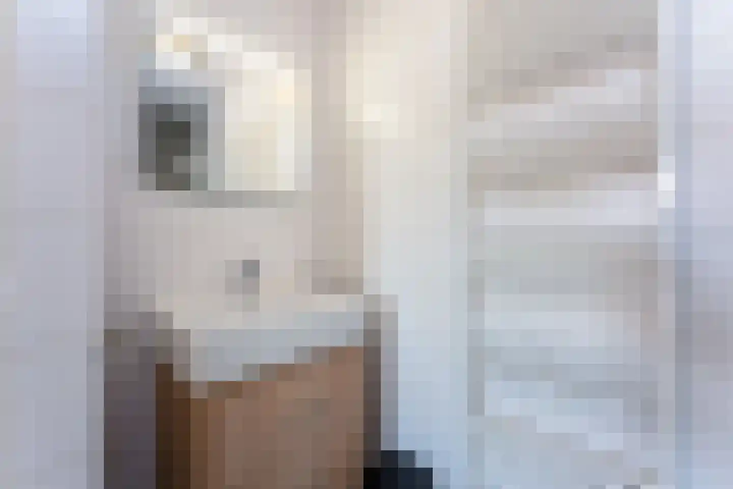 Zeedijk 24 458 Nieuwvliet thumbnail 14