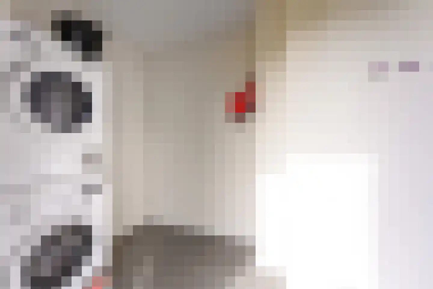 Zeedijk 24 458 Nieuwvliet thumbnail 16
