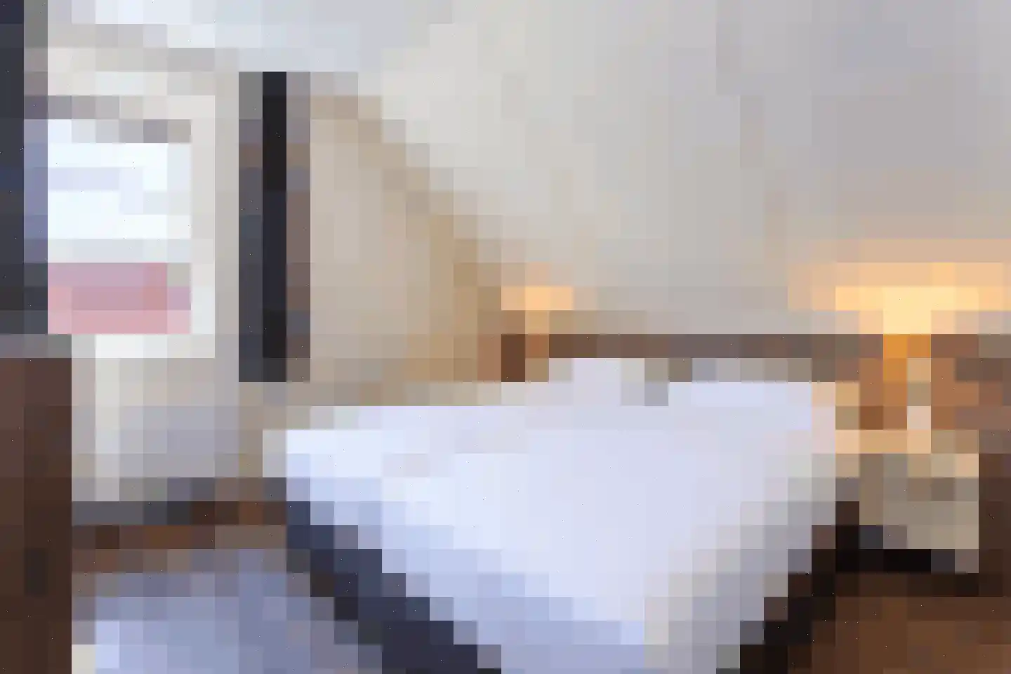 Zeedijk 24 458 Nieuwvliet thumbnail 20