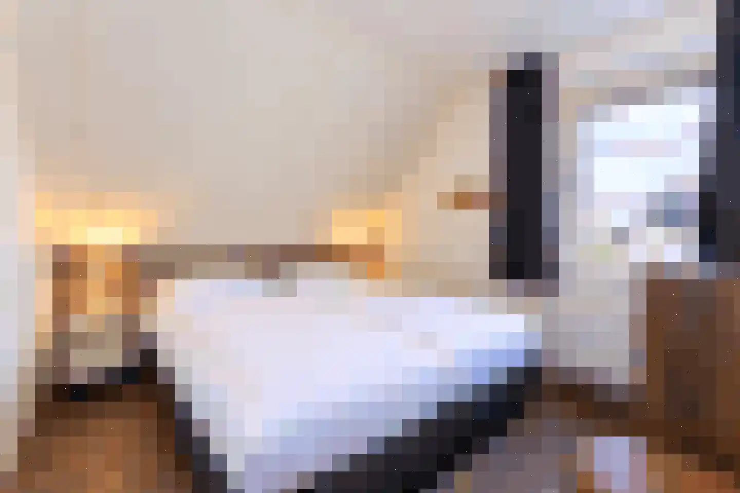 Zeedijk 24 458 Nieuwvliet thumbnail 24
