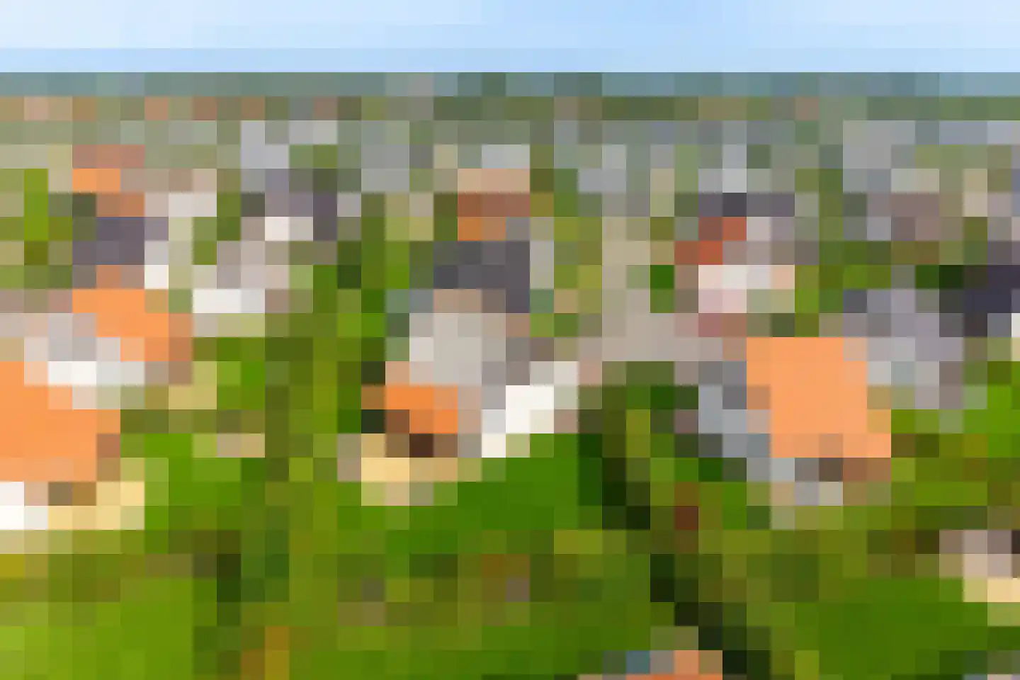 Zeedijk 24 458 Nieuwvliet thumbnail 27