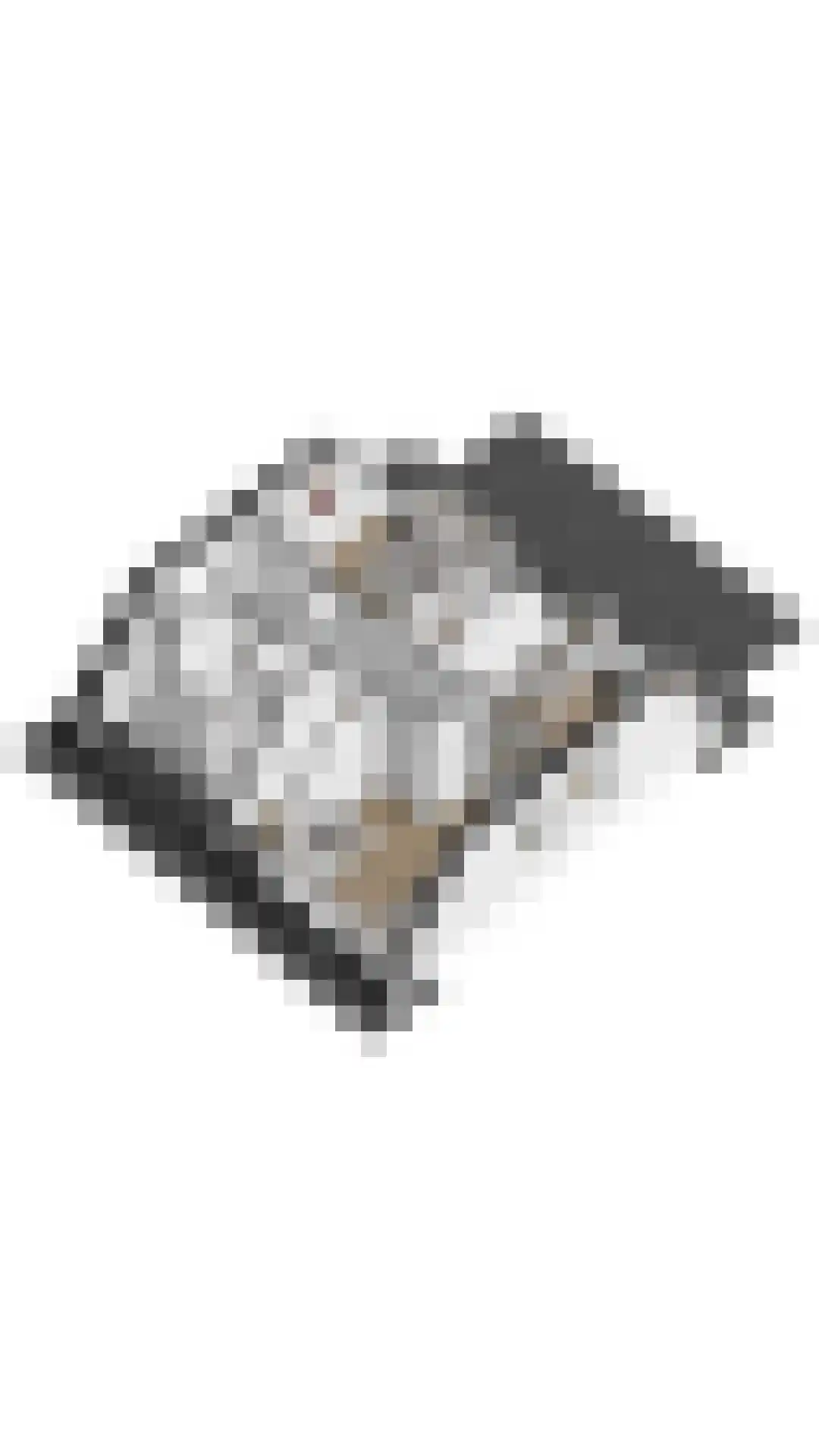 Zeedijk 24 458 Nieuwvliet thumbnail 32