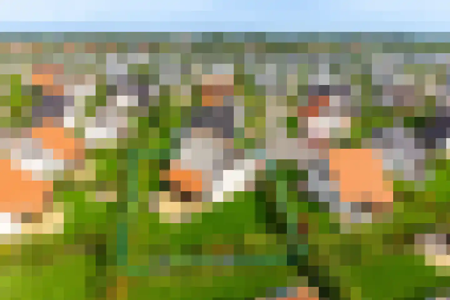 Zeedijk 24 458 Nieuwvliet thumbnail 6