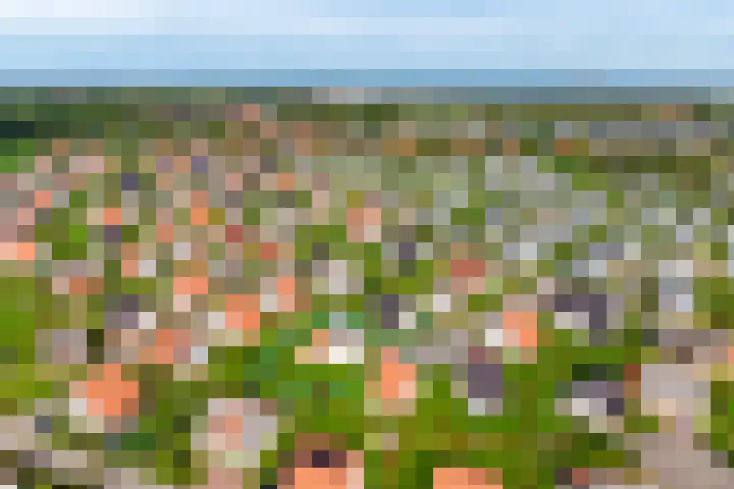 Zeedijk 24 458 Nieuwvliet thumbnail 7