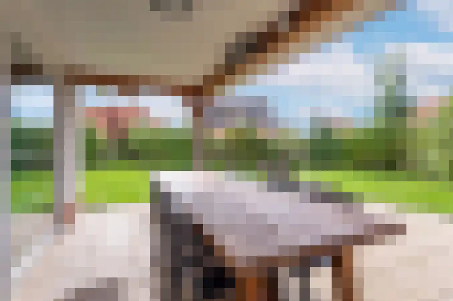 Zeedijk 24 458 Nieuwvliet thumbnail 8