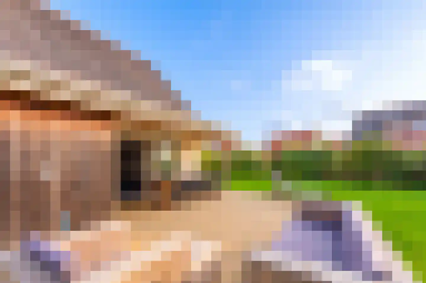 Zeedijk 24 458 Nieuwvliet thumbnail 9