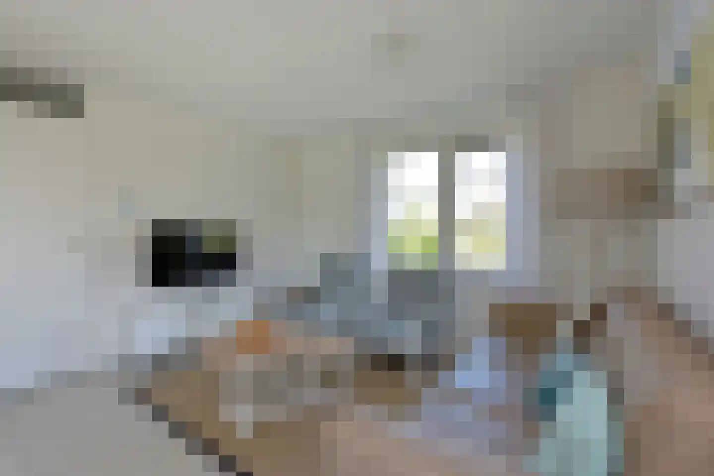 Zeedijk 24 460 Nieuwvliet thumbnail 11