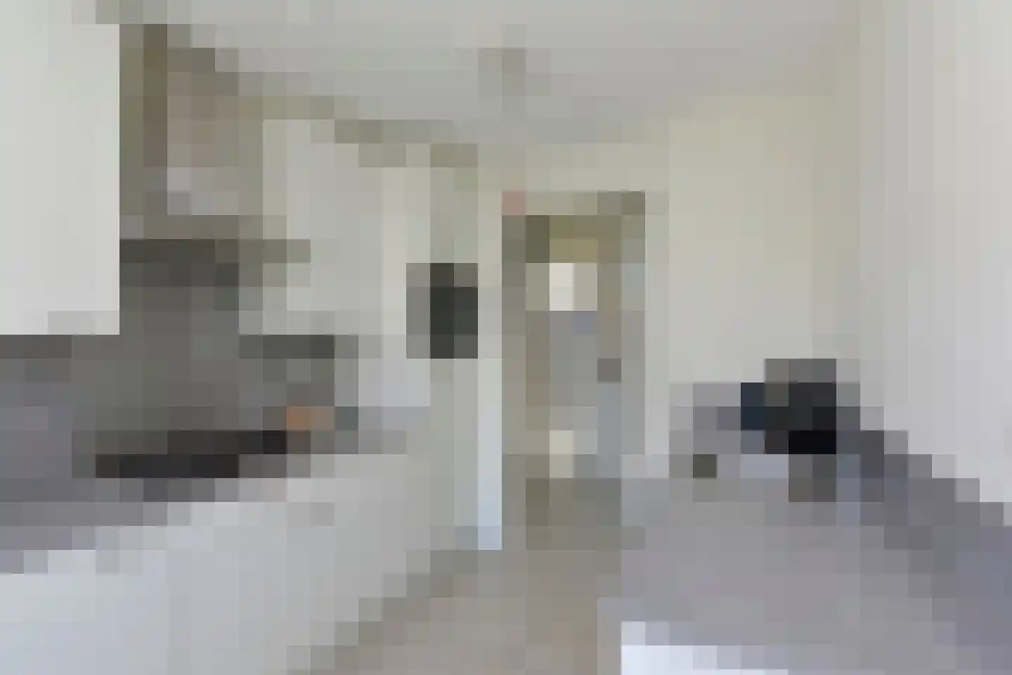 Zeedijk 24 460 Nieuwvliet thumbnail 14