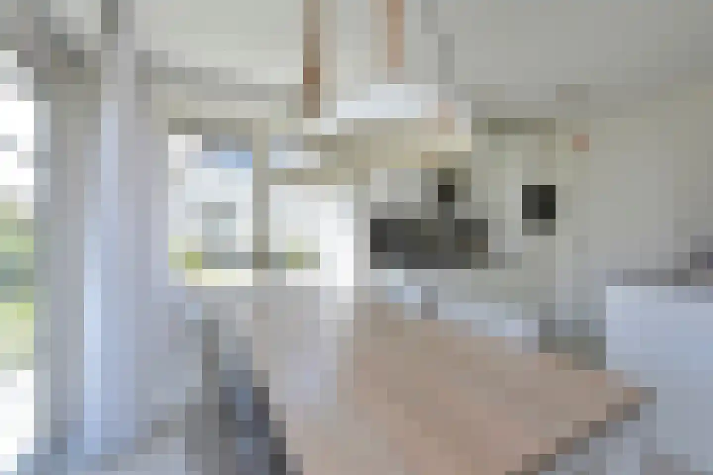 Zeedijk 24 460 Nieuwvliet thumbnail 16