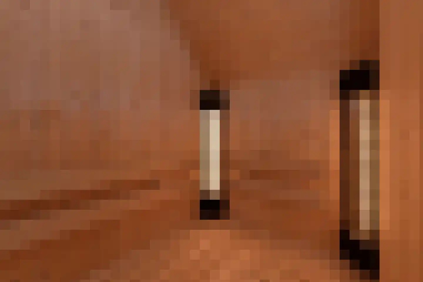 Zeedijk 24 460 Nieuwvliet thumbnail 20