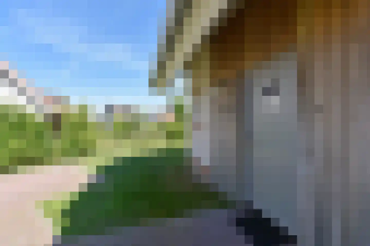 Zeedijk 24 460 Nieuwvliet thumbnail 26