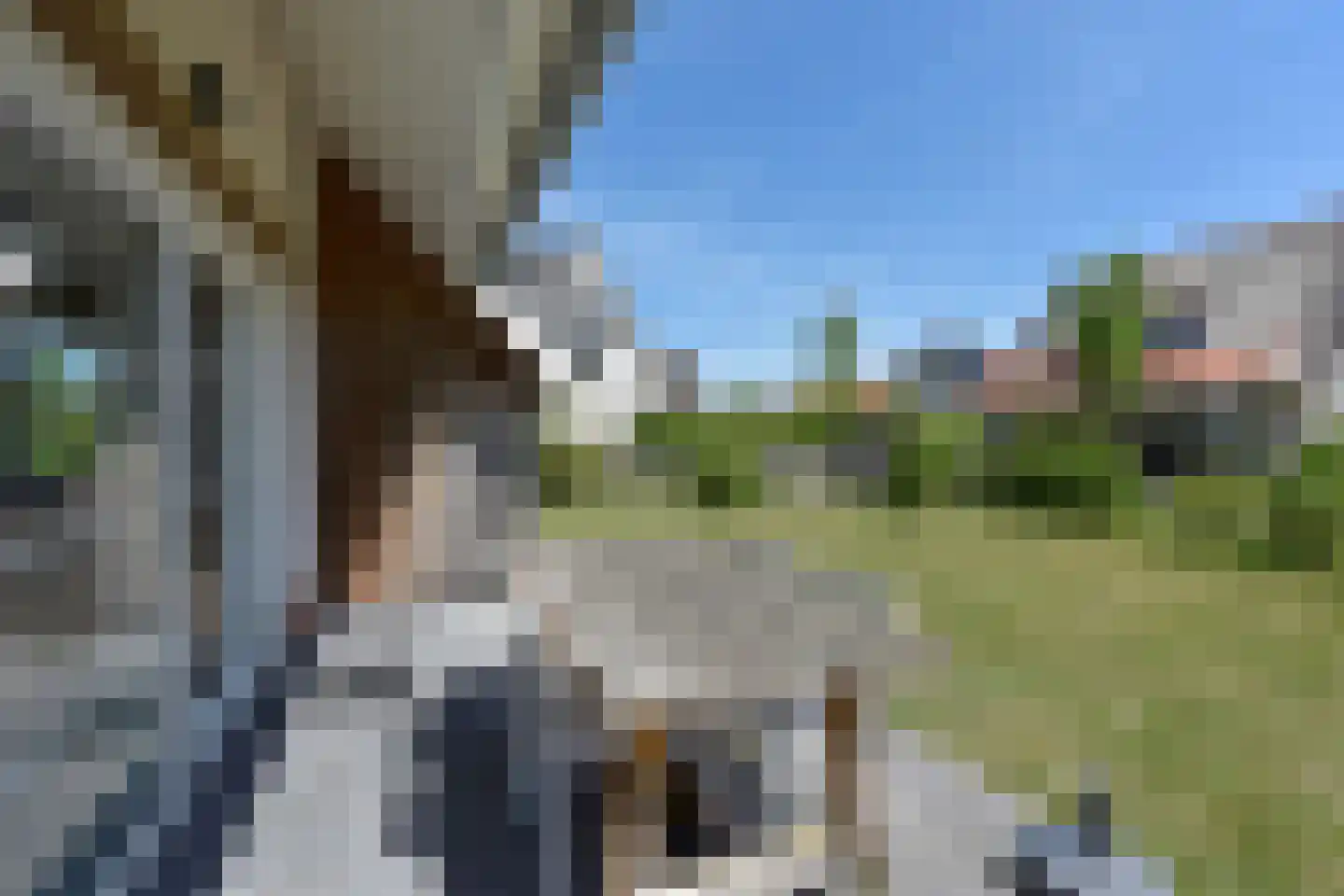 Zeedijk 24 460 Nieuwvliet thumbnail 29