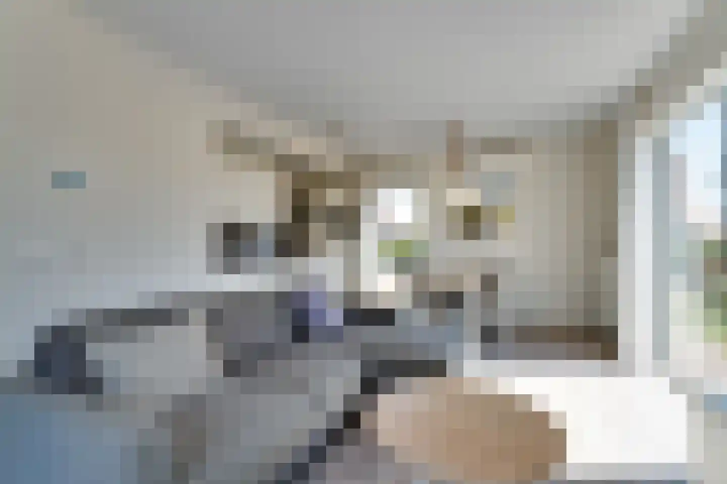 Zeedijk 24 478 Nieuwvliet thumbnail 10