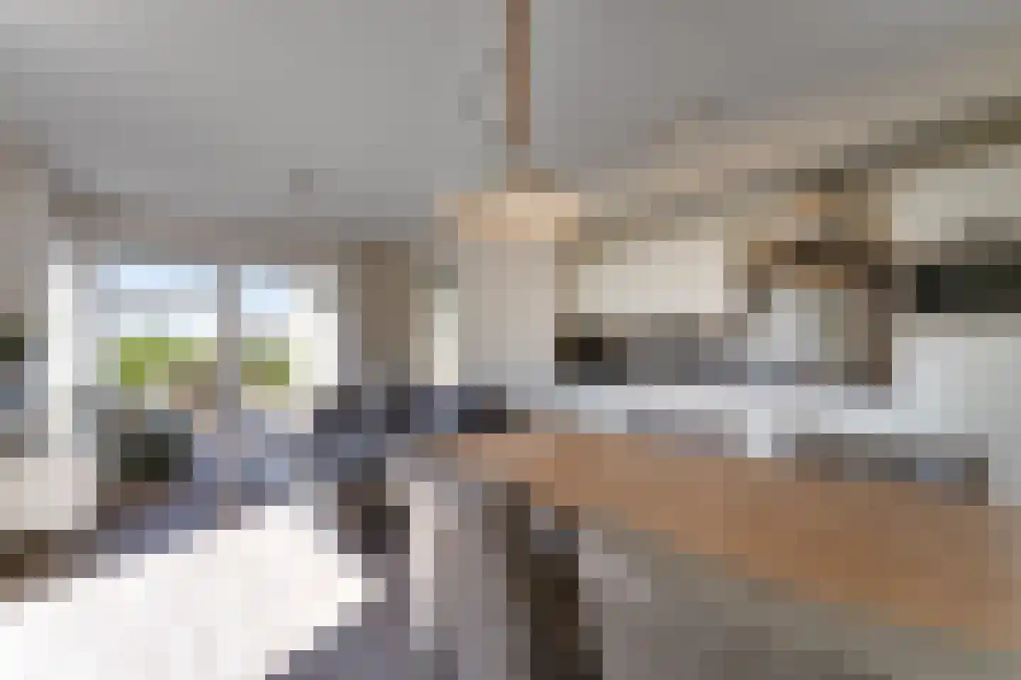 Zeedijk 24 478 Nieuwvliet thumbnail 13