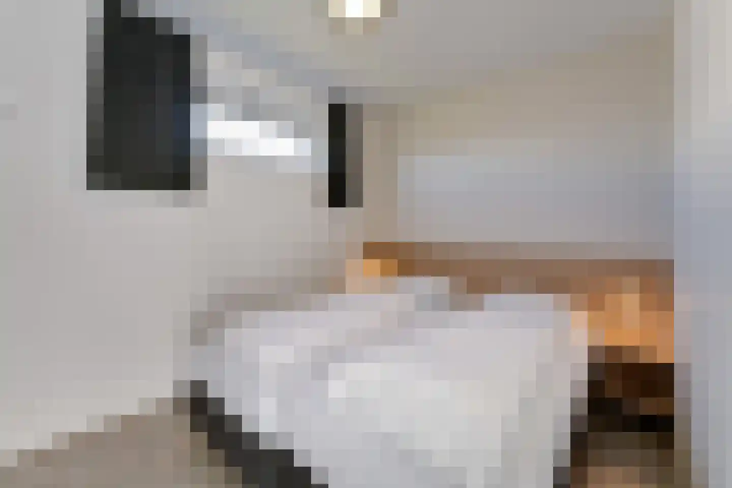 Zeedijk 24 478 Nieuwvliet thumbnail 17