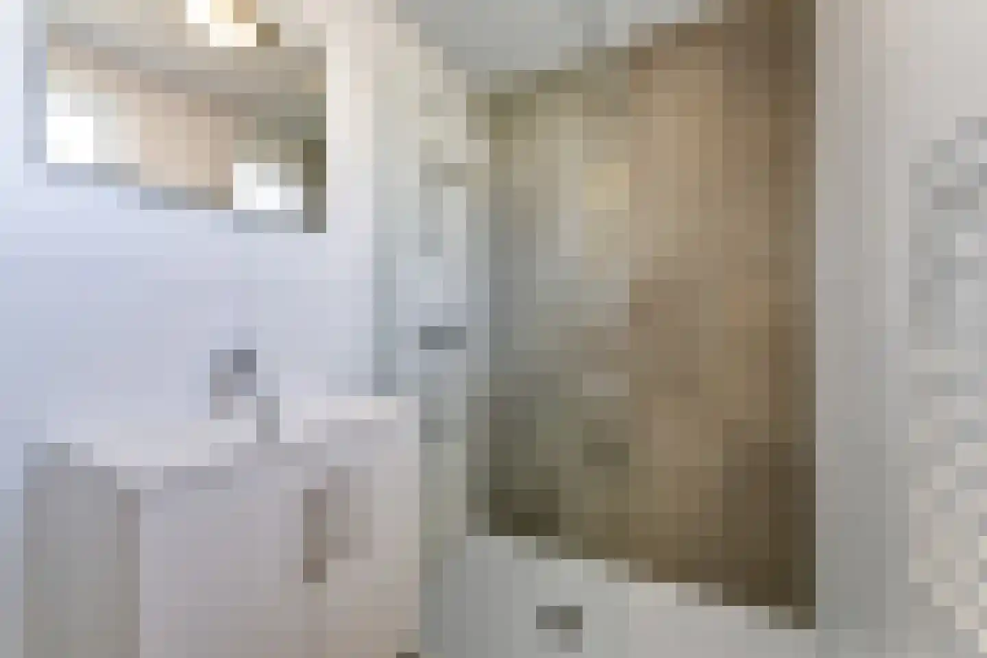 Zeedijk 24 478 Nieuwvliet thumbnail 19