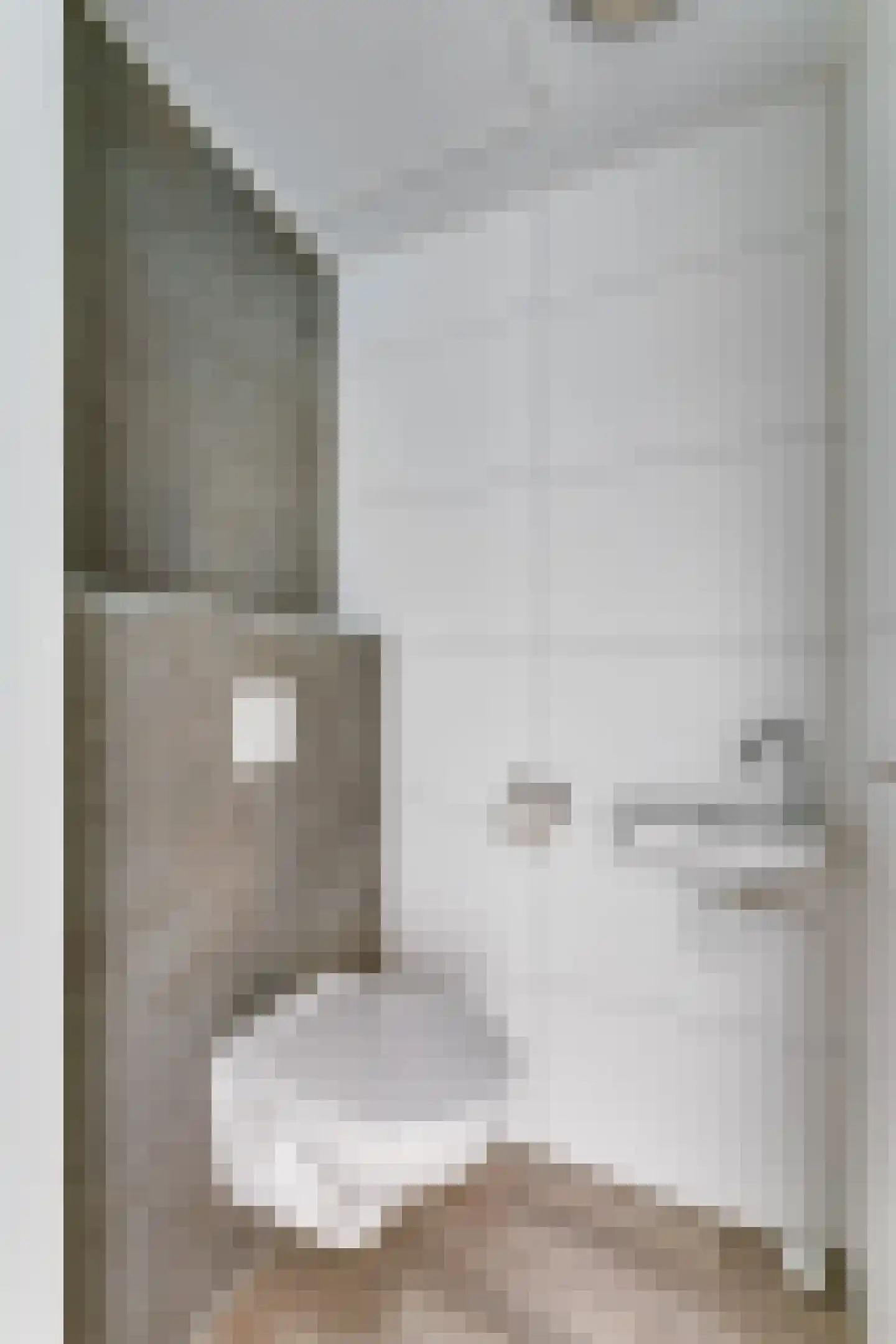 Zeedijk 24 478 Nieuwvliet thumbnail 20