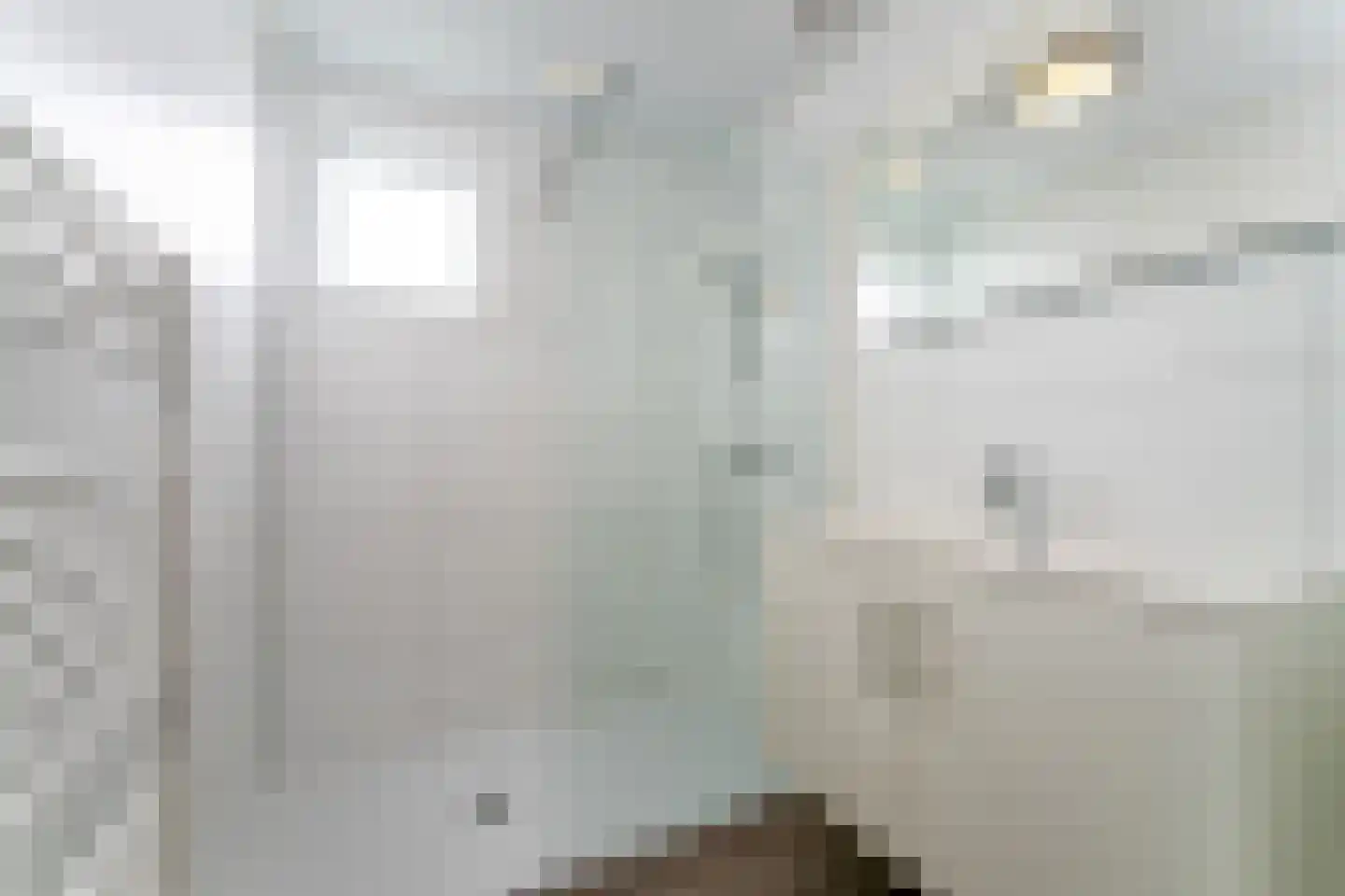 Zeedijk 24 481 Nieuwvliet thumbnail 12