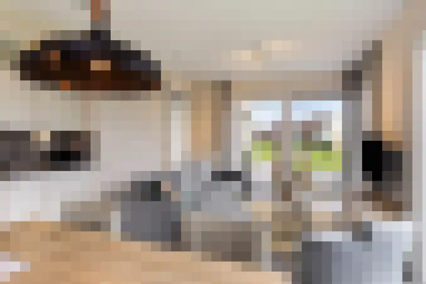 Zeedijk 24 490 Nieuwvliet thumbnail 11