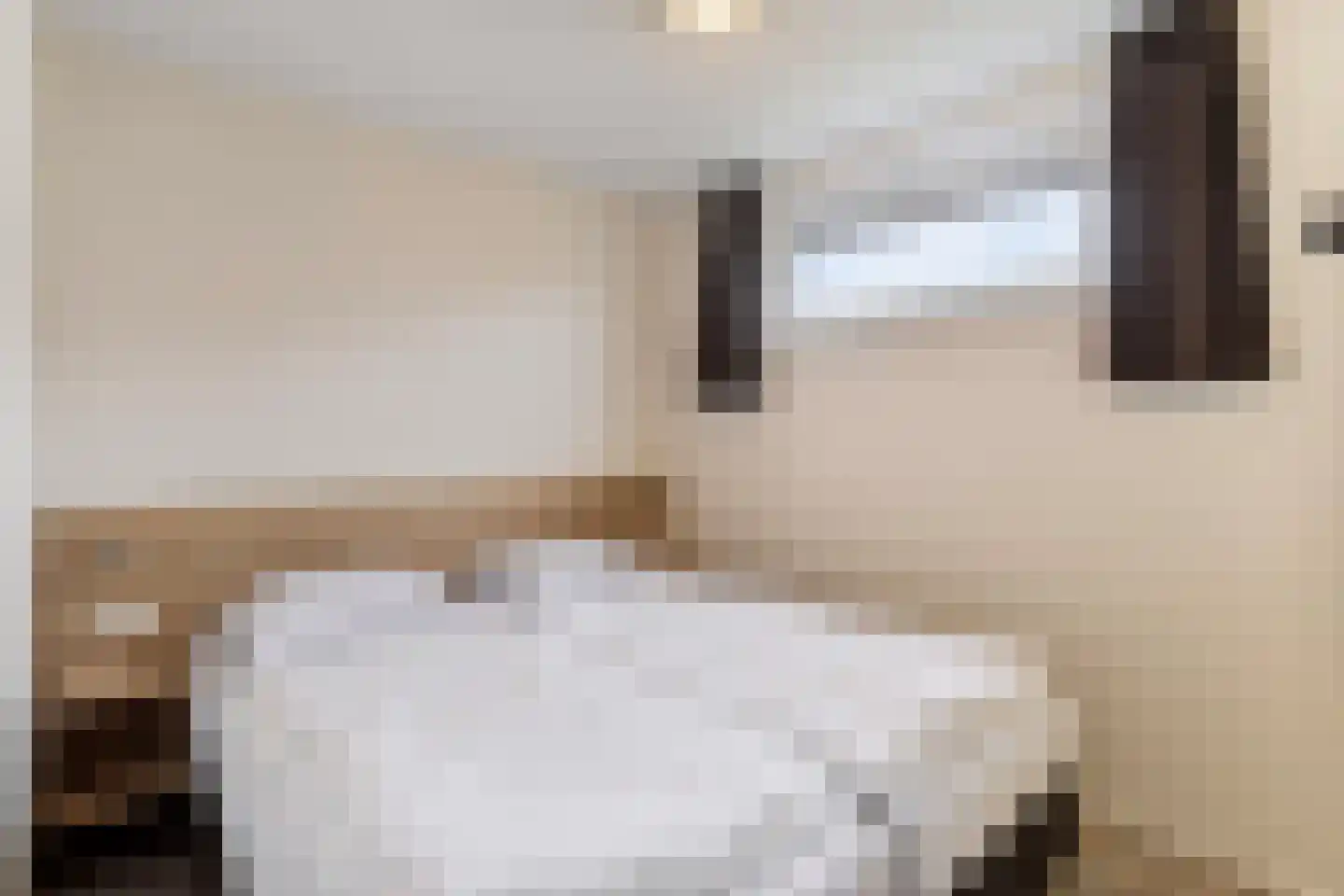 Zeedijk 24 490 Nieuwvliet thumbnail 21