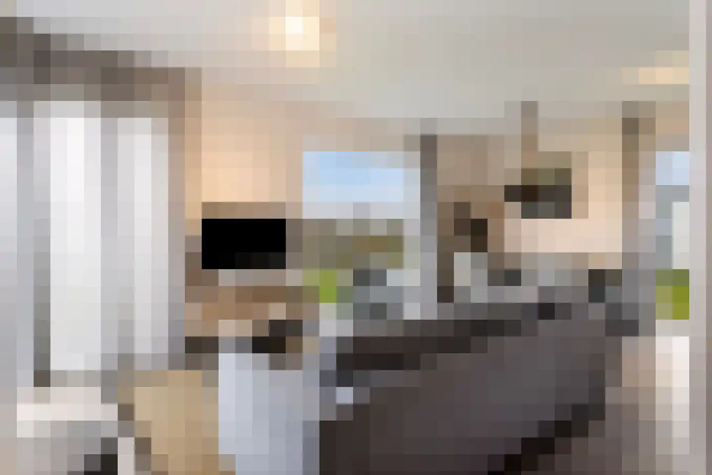 Zeedijk 24 490 Nieuwvliet thumbnail 8