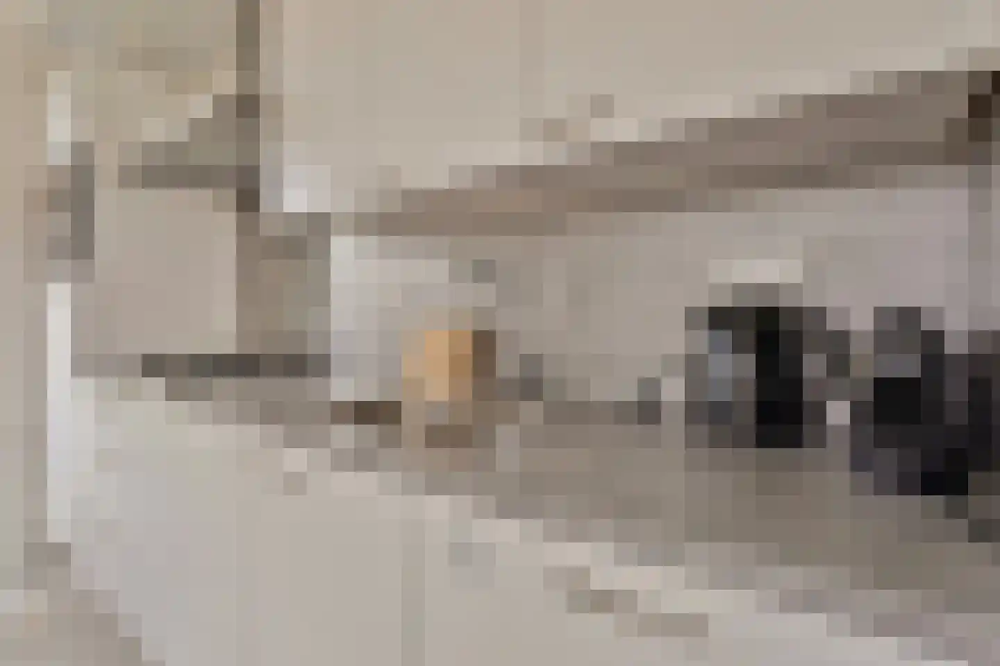 Zeedijk 24 491 Nieuwvliet thumbnail 13