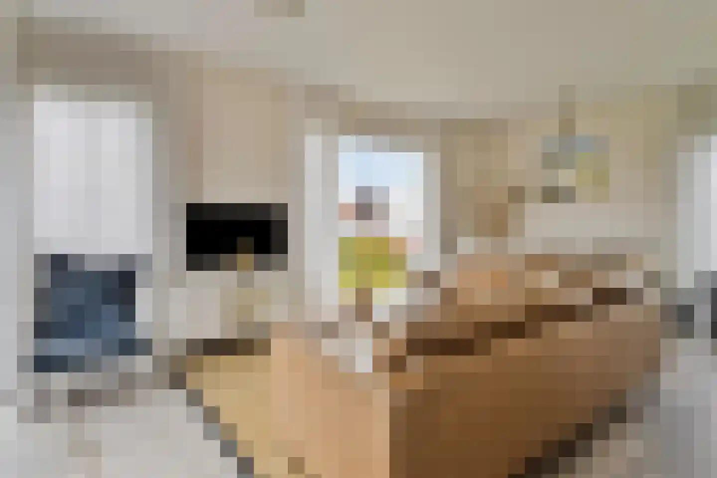 Zeedijk 24 491 Nieuwvliet thumbnail 9
