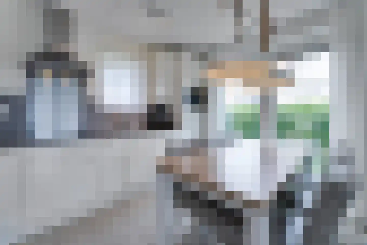 Zeedijk 24 513 Nieuwvliet thumbnail 10