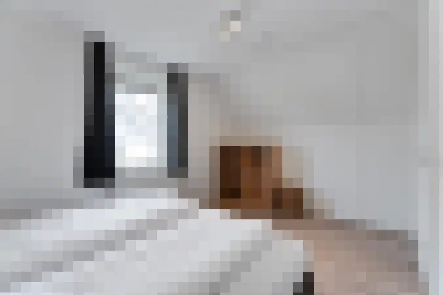 Zeedijk 24 513 Nieuwvliet thumbnail 15