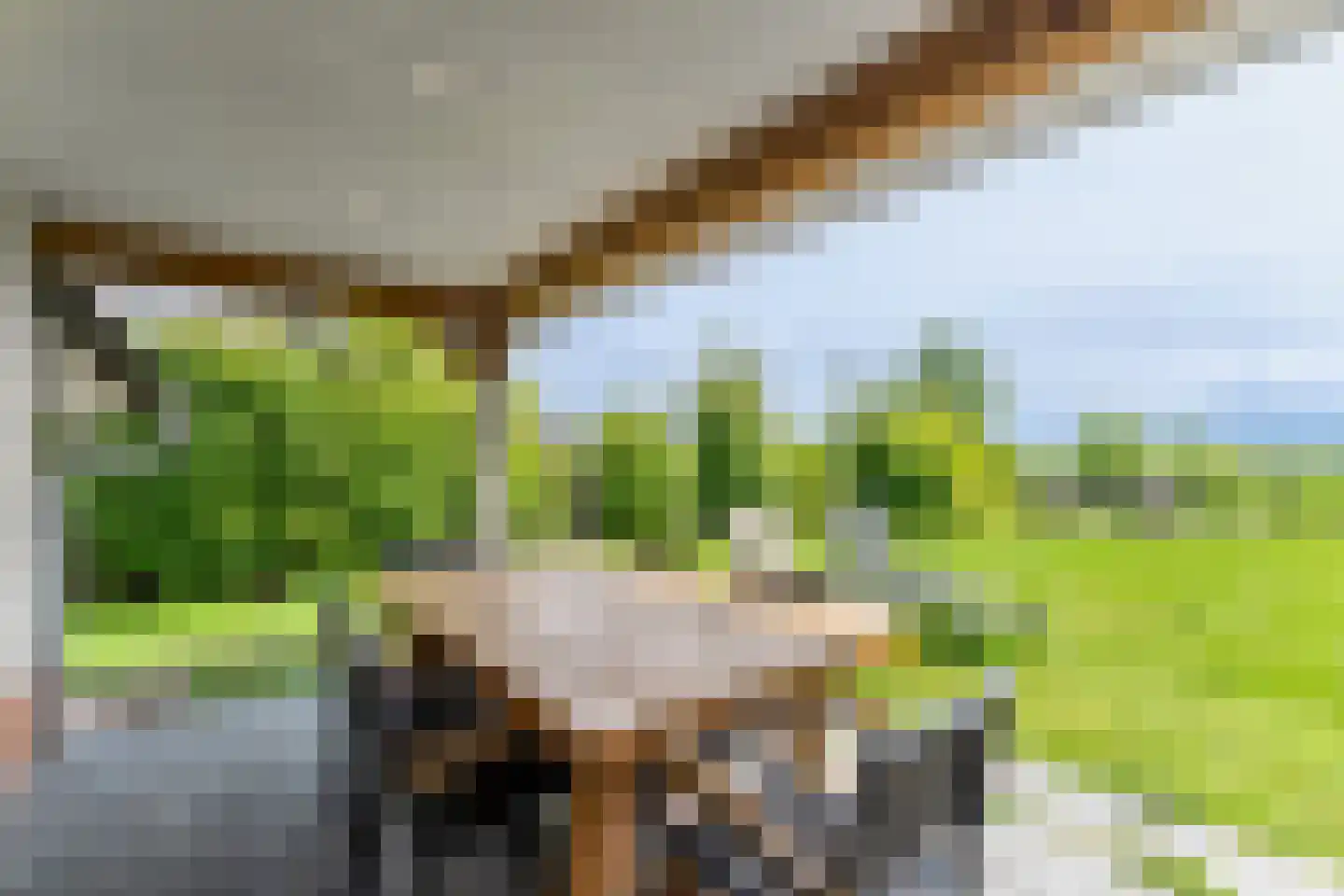 Zeedijk 24 513 Nieuwvliet thumbnail 18