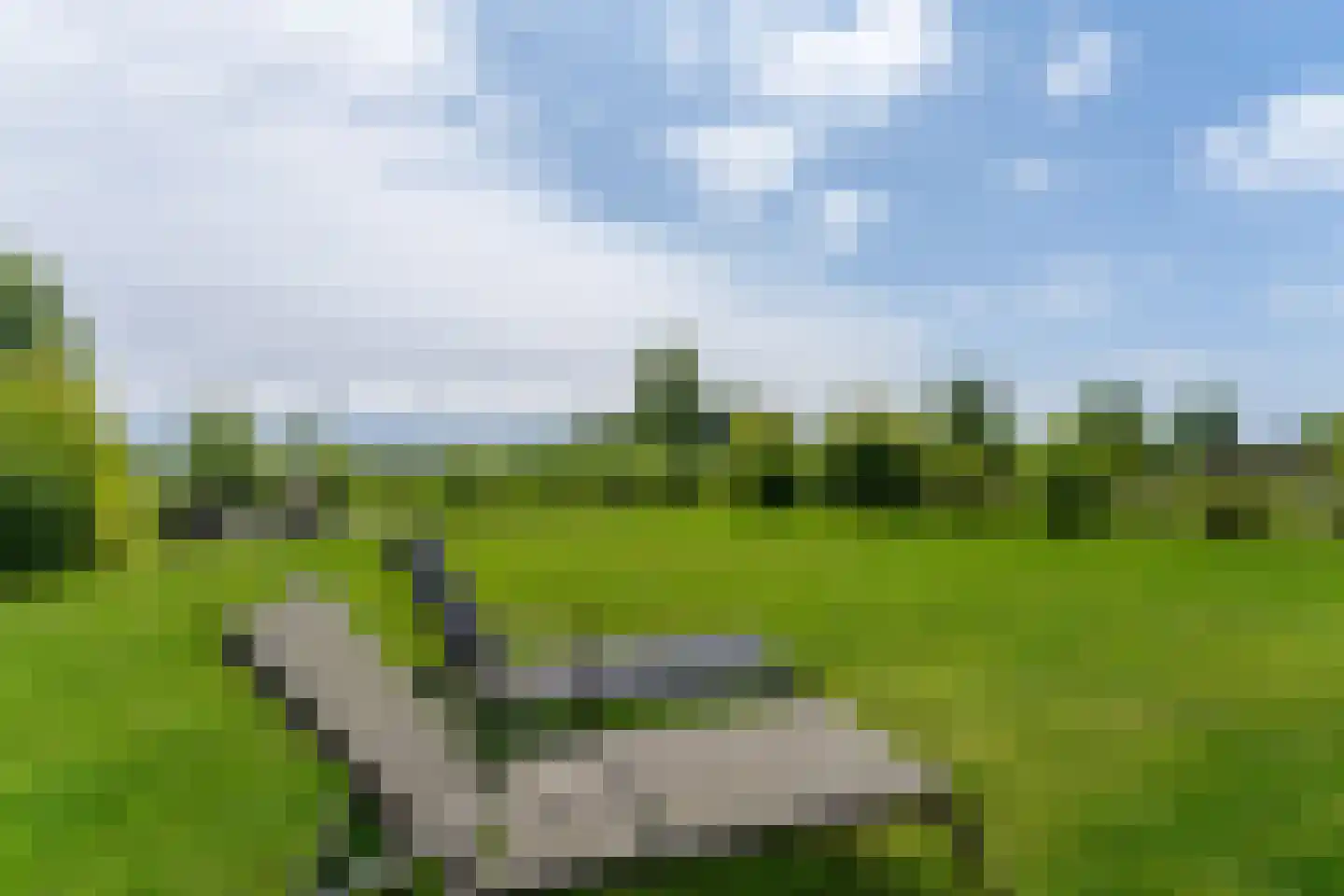 Zeedijk 24 513 Nieuwvliet thumbnail 5