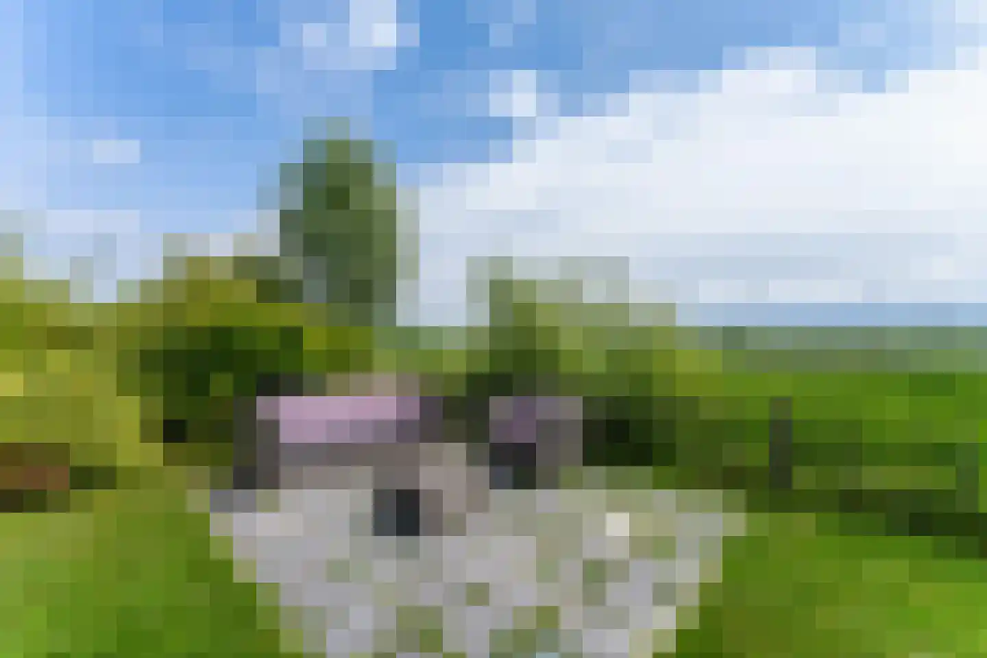 Zeedijk 24 513 Nieuwvliet thumbnail 7