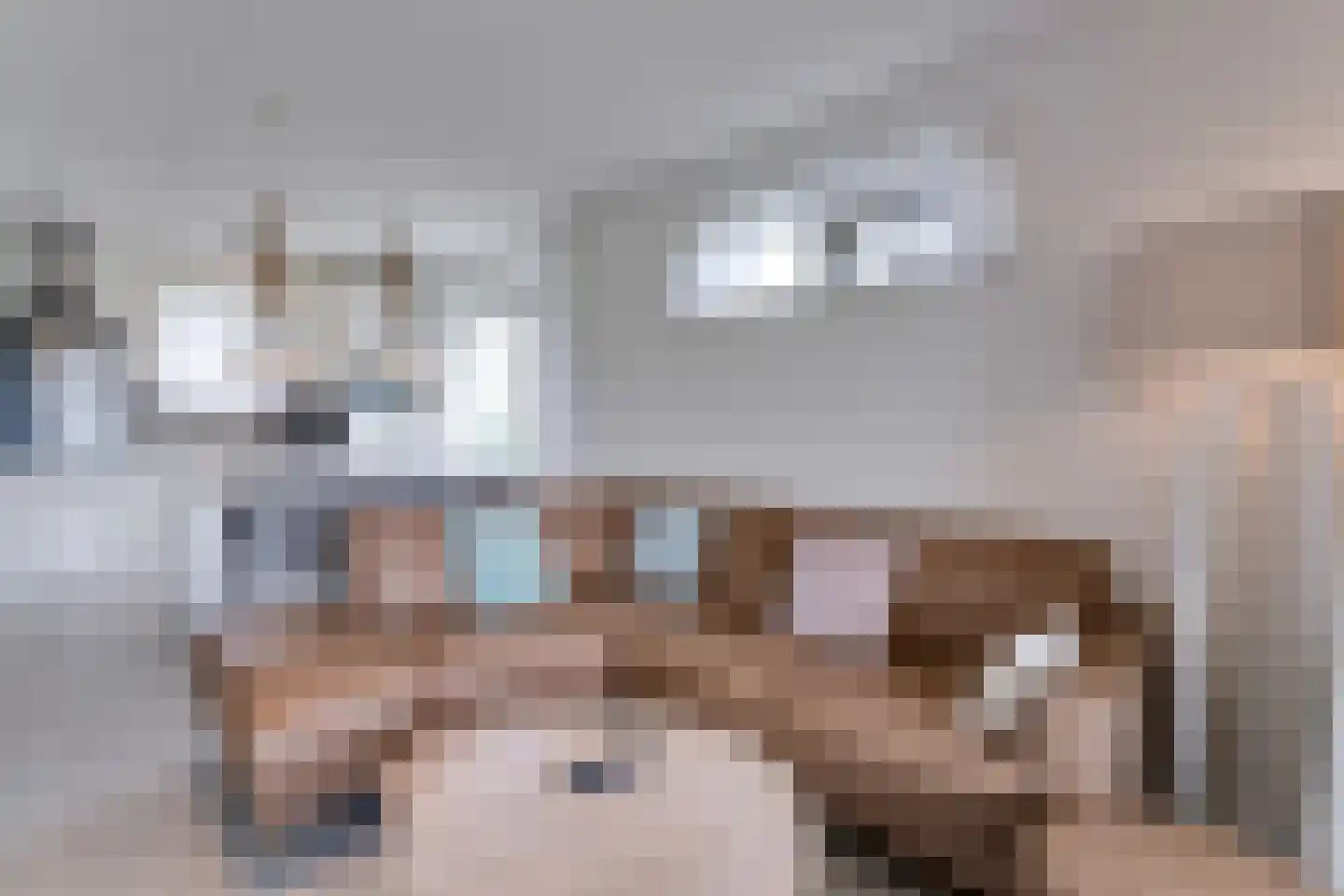 Zeedijk 24 513 Nieuwvliet thumbnail 9