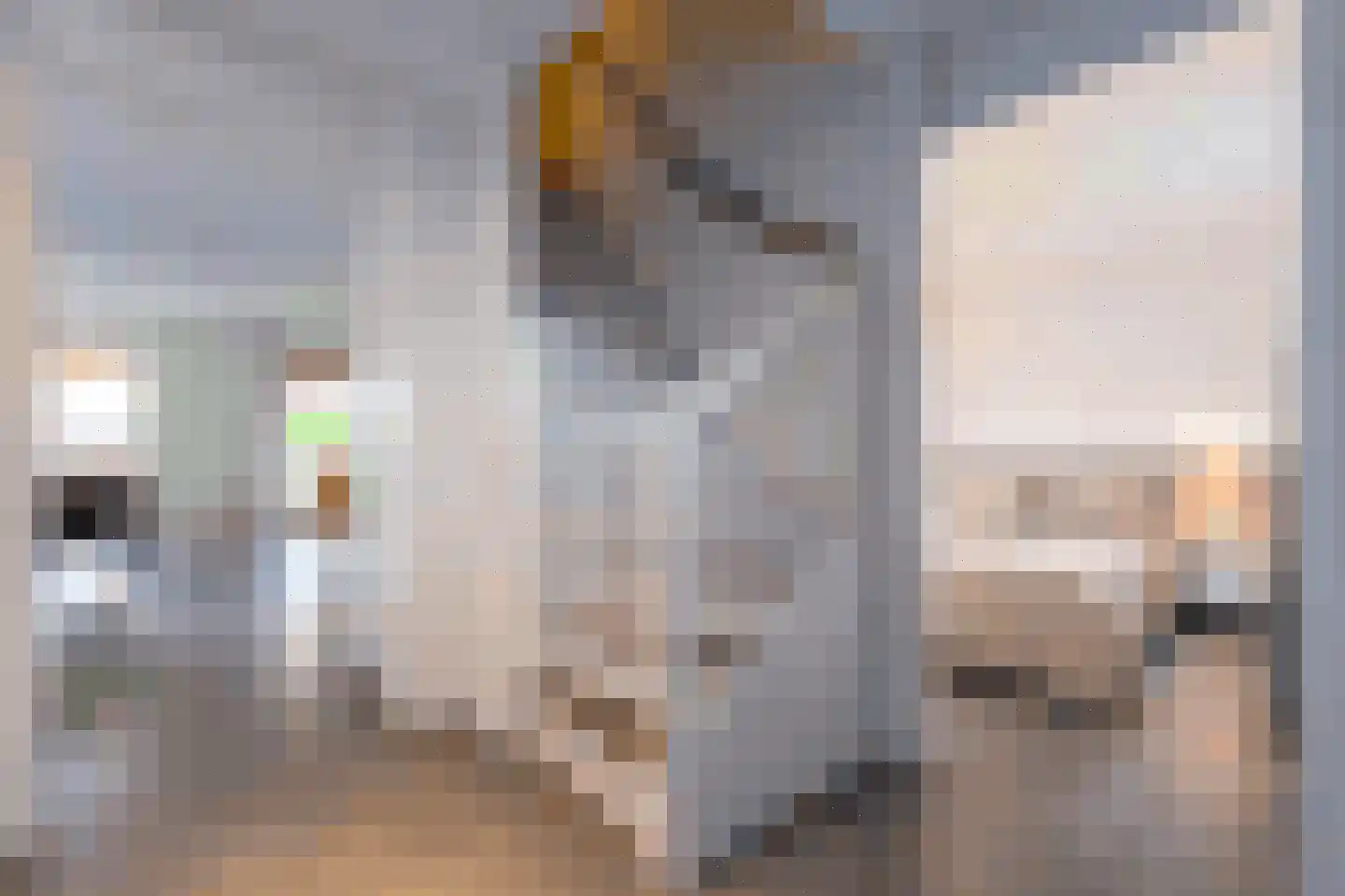Zeedijk 24 566 Nieuwvliet thumbnail 11